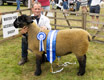 Malton Show 2024